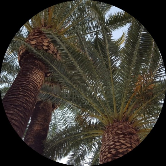 drcole_22